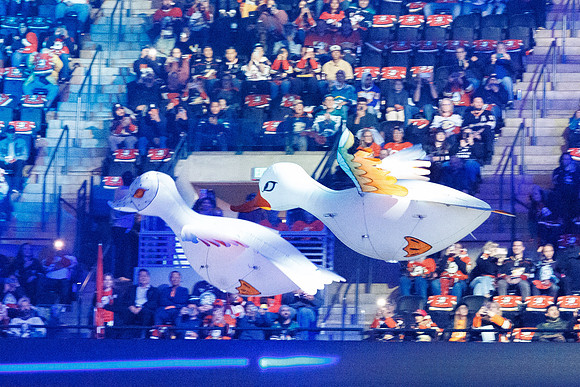 101624_ANAHEIM_DUCKS_0319