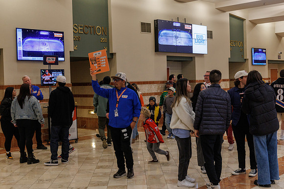 031125_ANAHEIM_DUCKS_0871