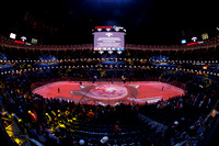 Arena LED Ribbons