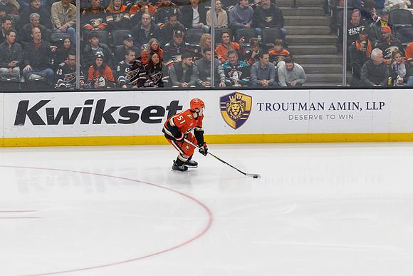 031125_ANAHEIM_DUCKS_1208
