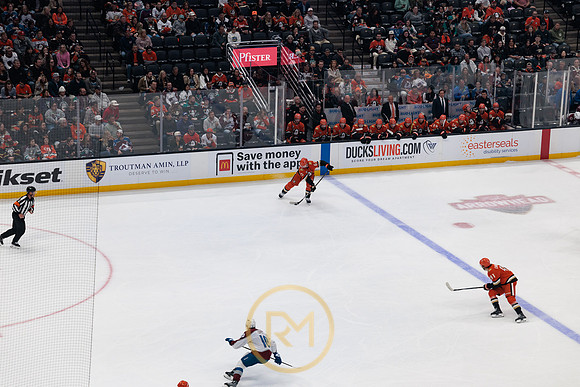 041325_ANAHEIM_DUCKS_111