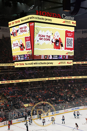 041325_ANAHEIM_DUCKS_086