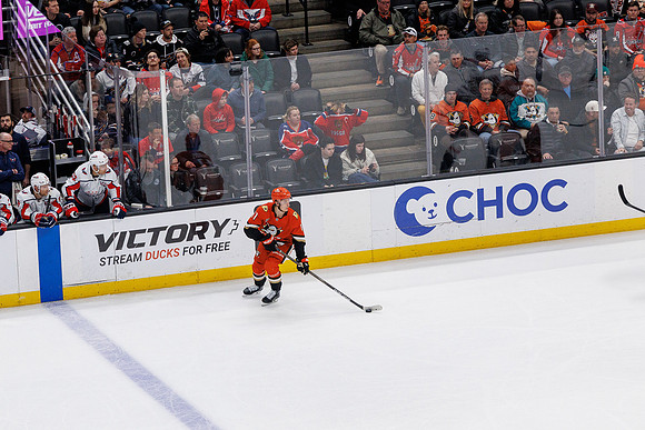 031125_ANAHEIM_DUCKS_1610