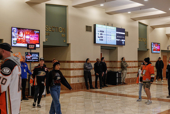 031125_ANAHEIM_DUCKS_0810