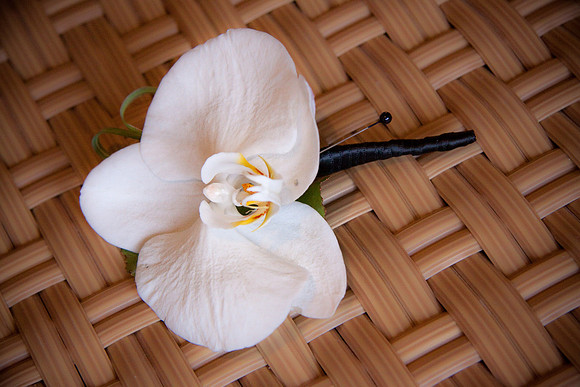 JNT200920060121.JPG