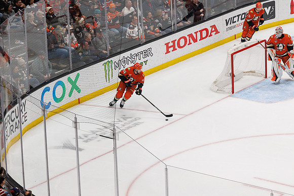 031125_ANAHEIM_DUCKS_1549