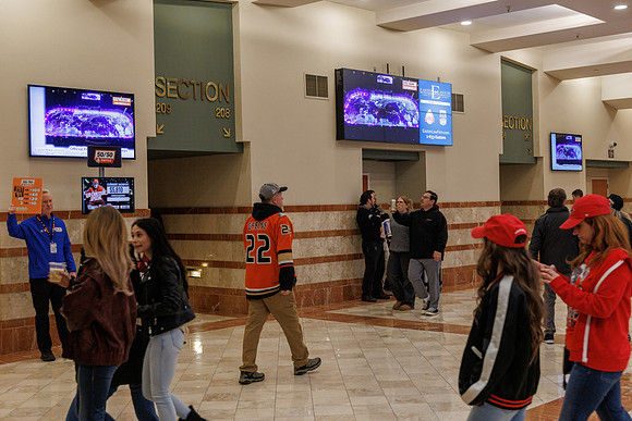 031125_ANAHEIM_DUCKS_0882