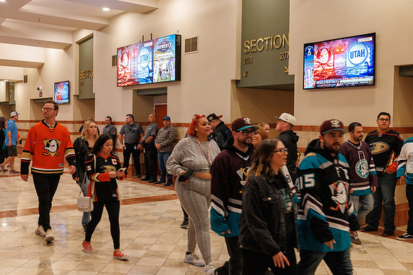 101624_ANAHEIM_DUCKS_0219