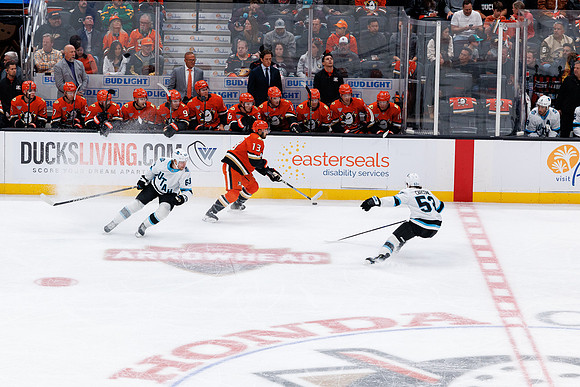 101624_ANAHEIM_DUCKS_0438