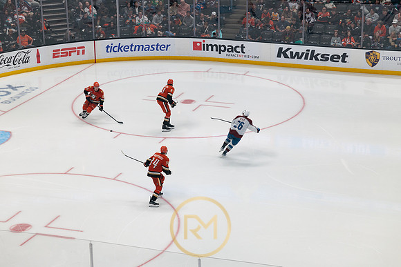 041325_ANAHEIM_DUCKS_337