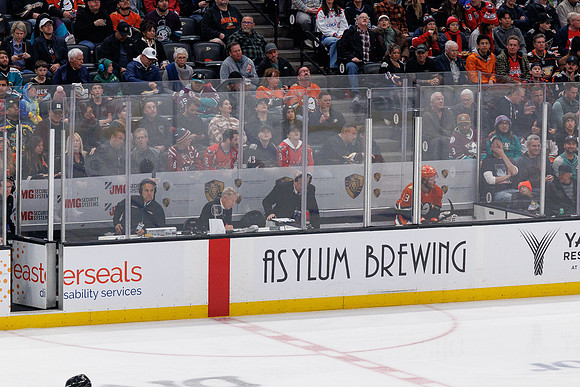 031125_ANAHEIM_DUCKS_1271