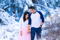 ENGAGEMENT_022415_0019
