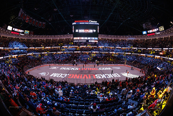 031125_ANAHEIM_DUCKS_0226