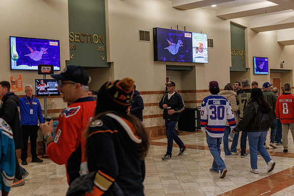031125_ANAHEIM_DUCKS_0892