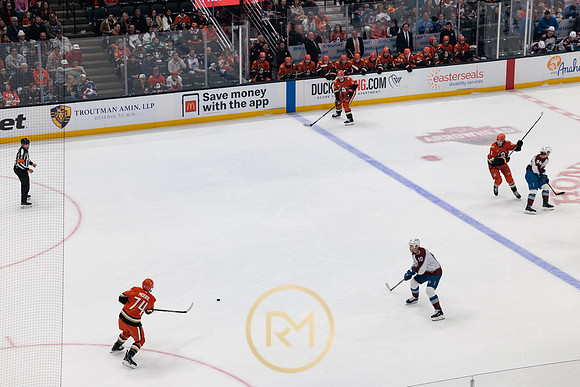 041325_ANAHEIM_DUCKS_110
