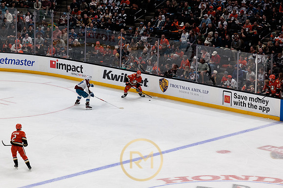 041325_ANAHEIM_DUCKS_227