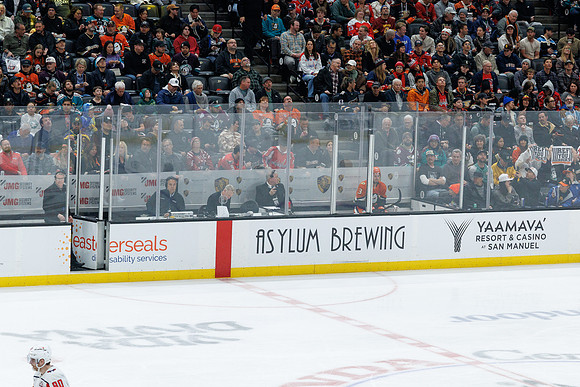 031125_ANAHEIM_DUCKS_1272