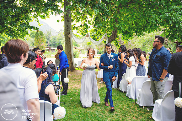 WEDDING_062715_0352