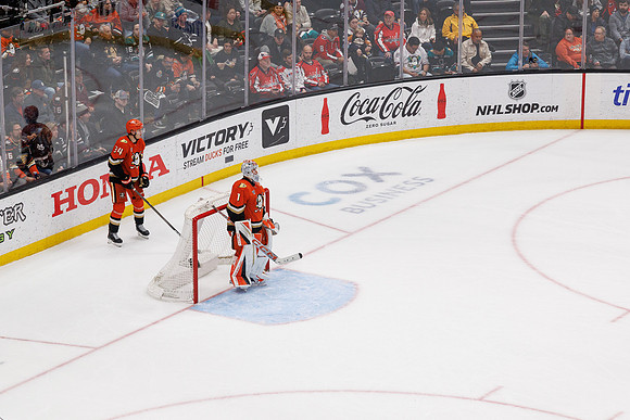 031125_ANAHEIM_DUCKS_1594