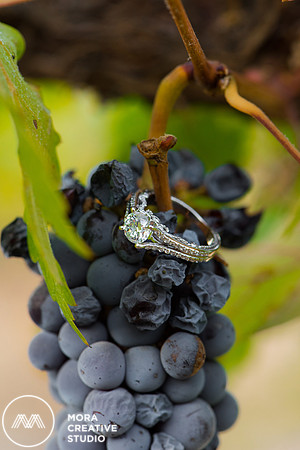 ENGAGEMENT_SESSION_0161