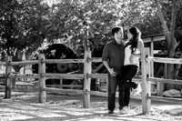 071015_DURAN_0156