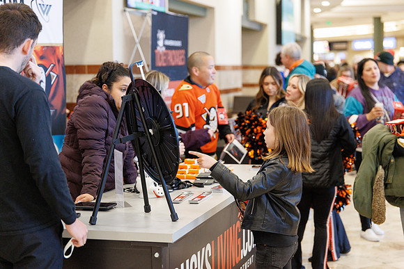 031125_ANAHEIM_DUCKS_0715