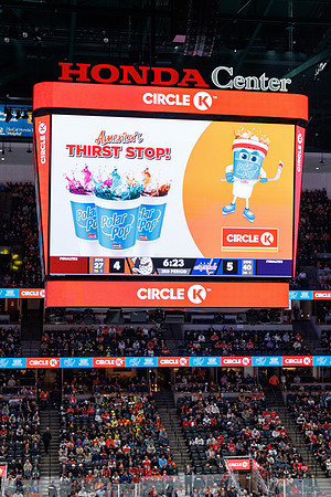 031125_ANAHEIM_DUCKS_1600