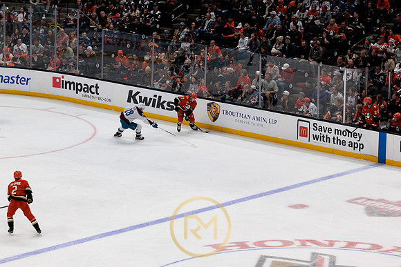 041325_ANAHEIM_DUCKS_228