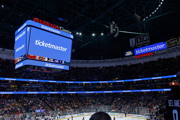 031125_ANAHEIM_DUCKS_1050