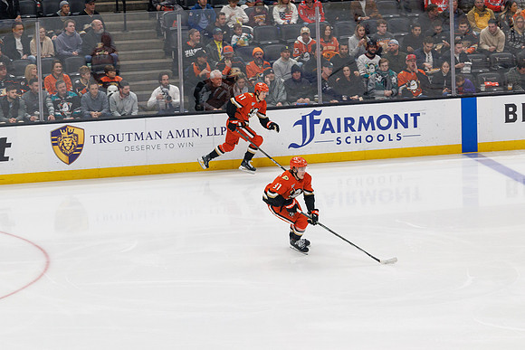 031125_ANAHEIM_DUCKS_1215