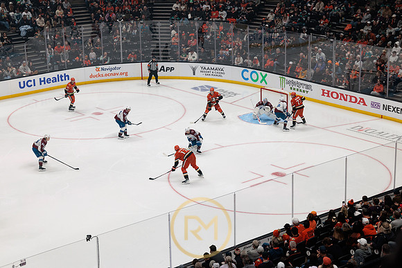 041325_ANAHEIM_DUCKS_330
