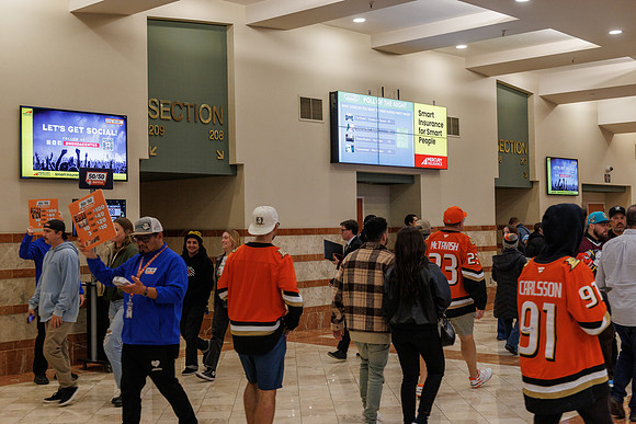031125_ANAHEIM_DUCKS_0740