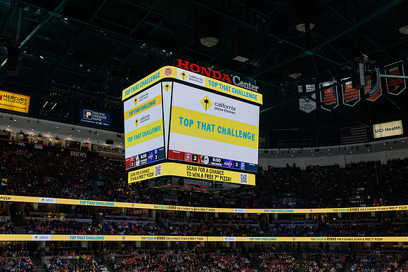 031125_ANAHEIM_DUCKS_1277