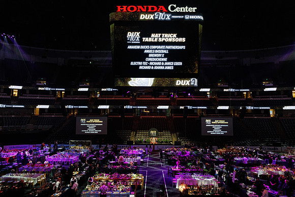 020625_ANAHEIM_DUCKS_060