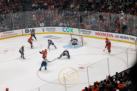041325_ANAHEIM_DUCKS_333