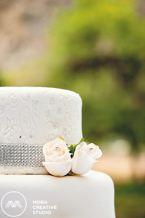 WEDDING_062715_0390