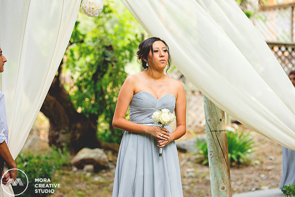 WEDDING_062715_0192