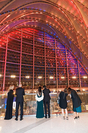 110224_OC_VIBE_0287