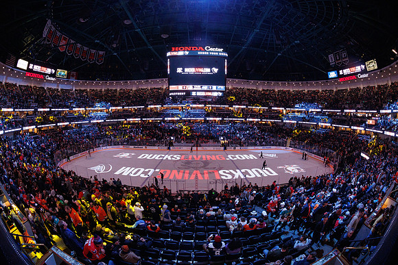 031125_ANAHEIM_DUCKS_0223