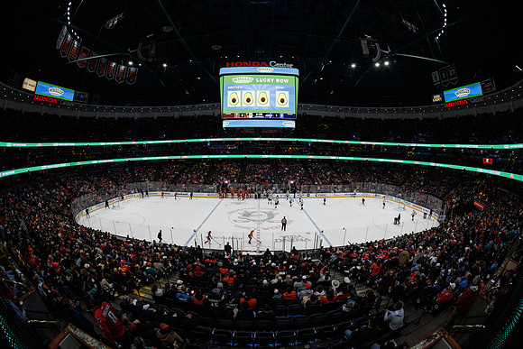 031125_ANAHEIM_DUCKS_0142