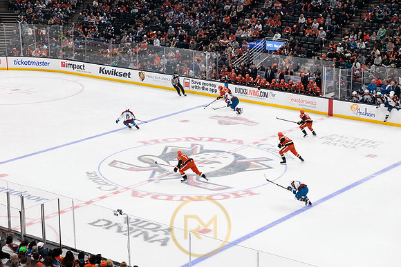 041325_ANAHEIM_DUCKS_182