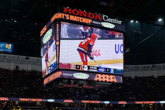031125_ANAHEIM_DUCKS_1000