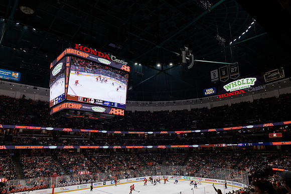 031125_ANAHEIM_DUCKS_1002