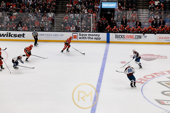 041325_ANAHEIM_DUCKS_400