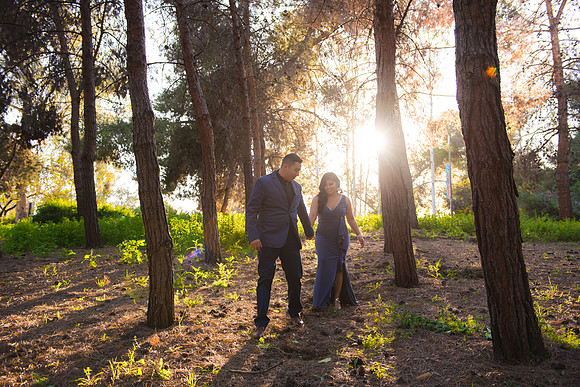 ENGAGEMENT_030515_0004