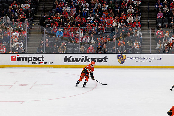 031125_ANAHEIM_DUCKS_1062