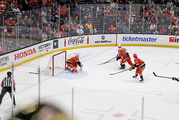 031125_ANAHEIM_DUCKS_1143