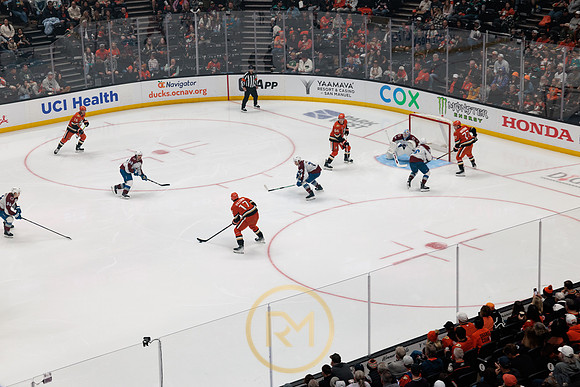 041325_ANAHEIM_DUCKS_328