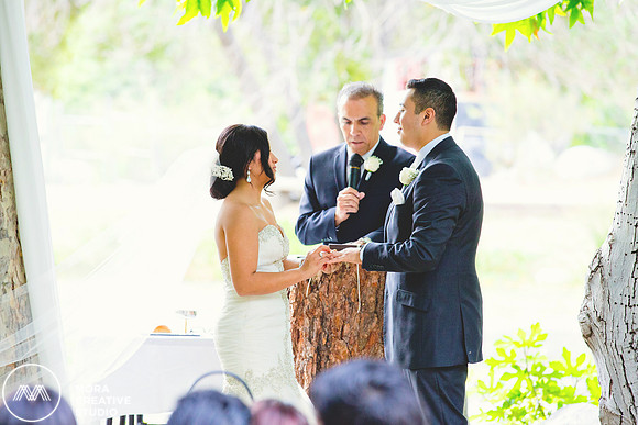 WEDDING_062715_0313