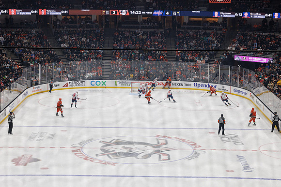 031125_ANAHEIM_DUCKS_1534